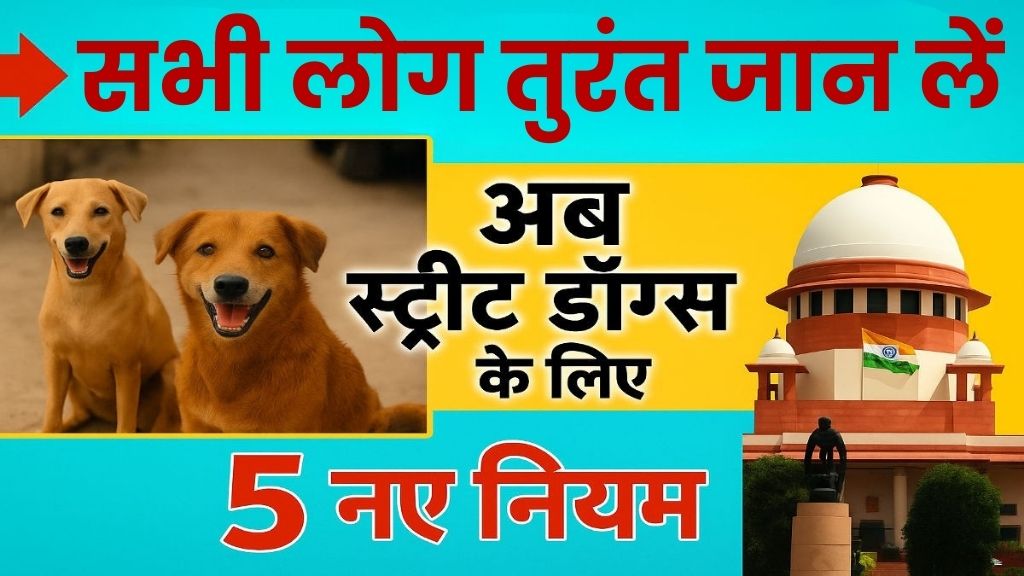 Supreme Court Dog News